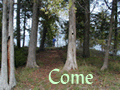 Come