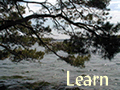 Learn